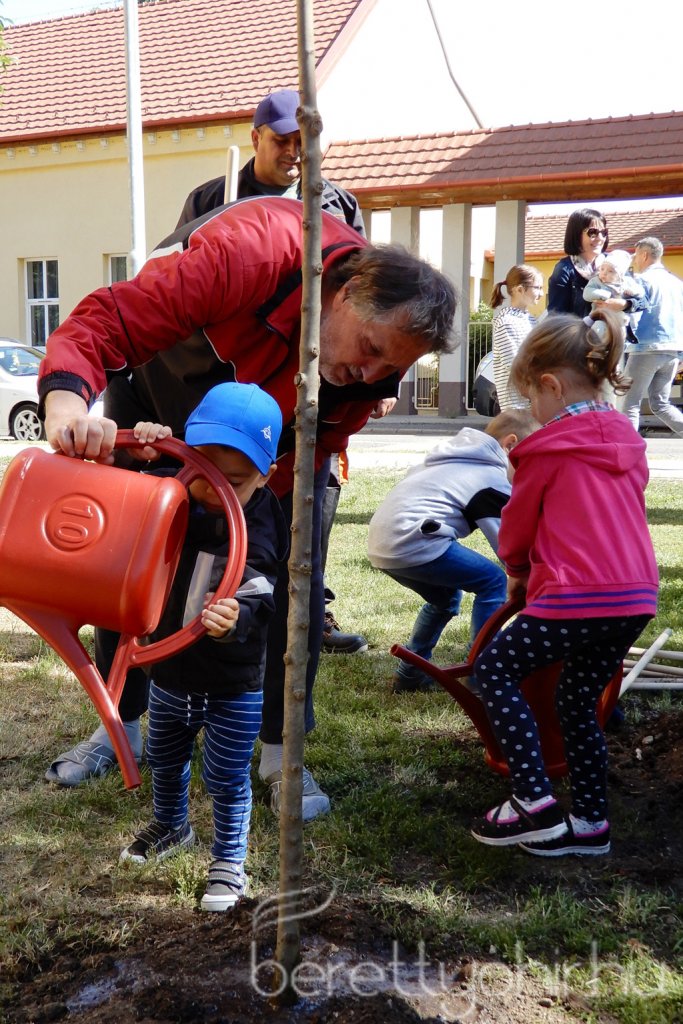 Életfa ültetés a város napján 34